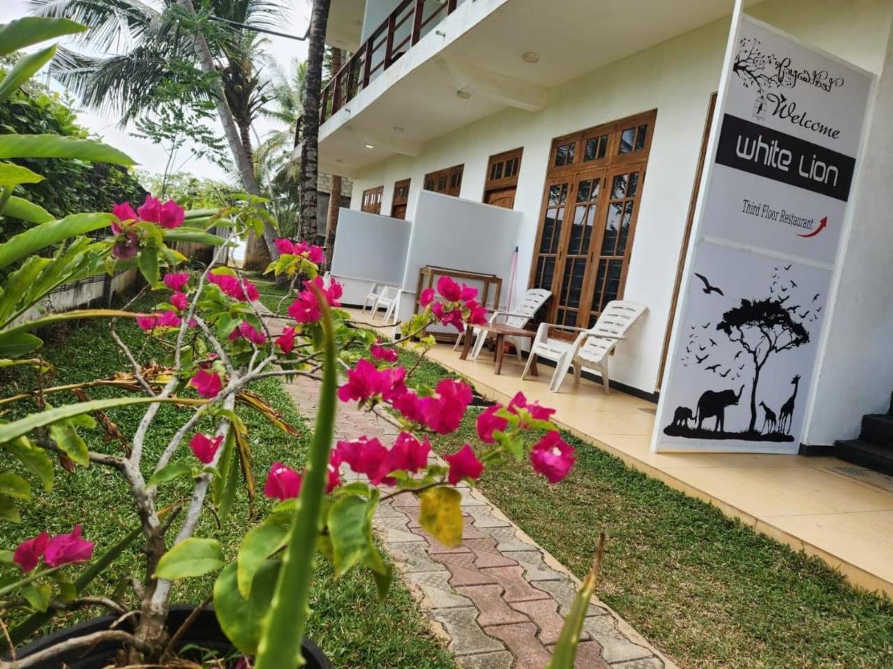 White Lion Paradise Dikwella Batigama Exterior photo